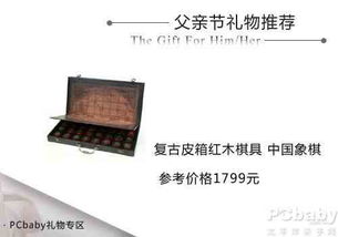 父親節(jié)禮物 選老爸愛好的玩意